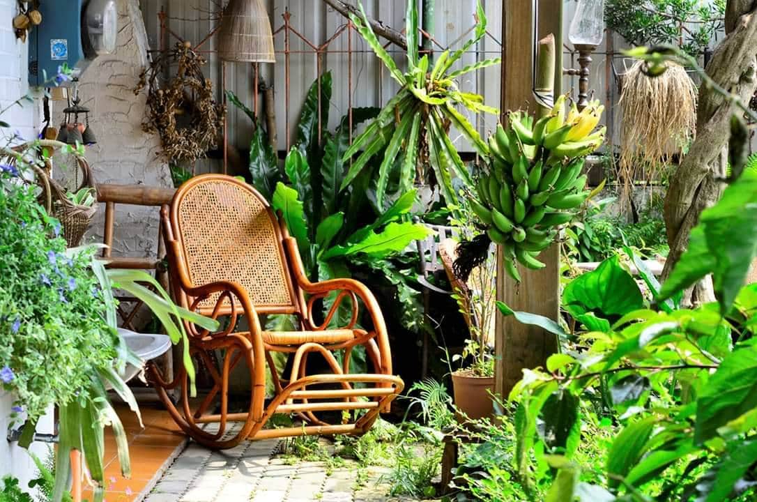 梔子花開書鋪場所圖片