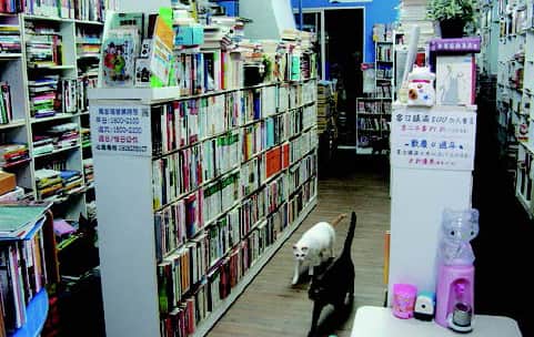 萬金喵二手書店場所圖片