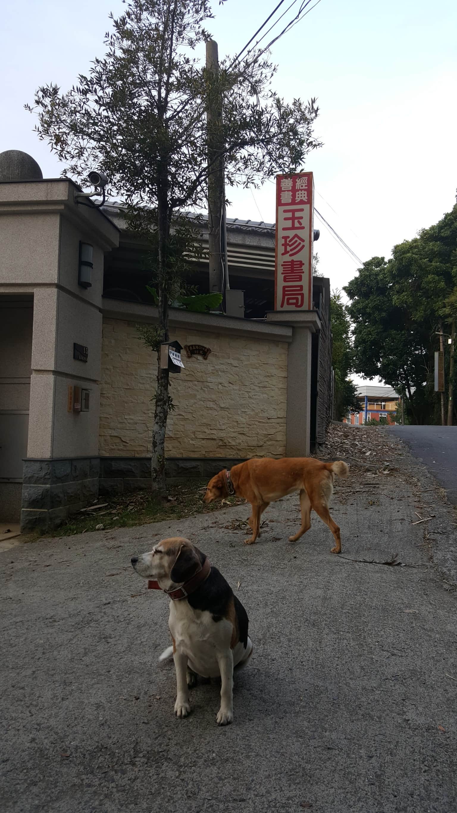 玉珍書局(善書專賣)場所圖片