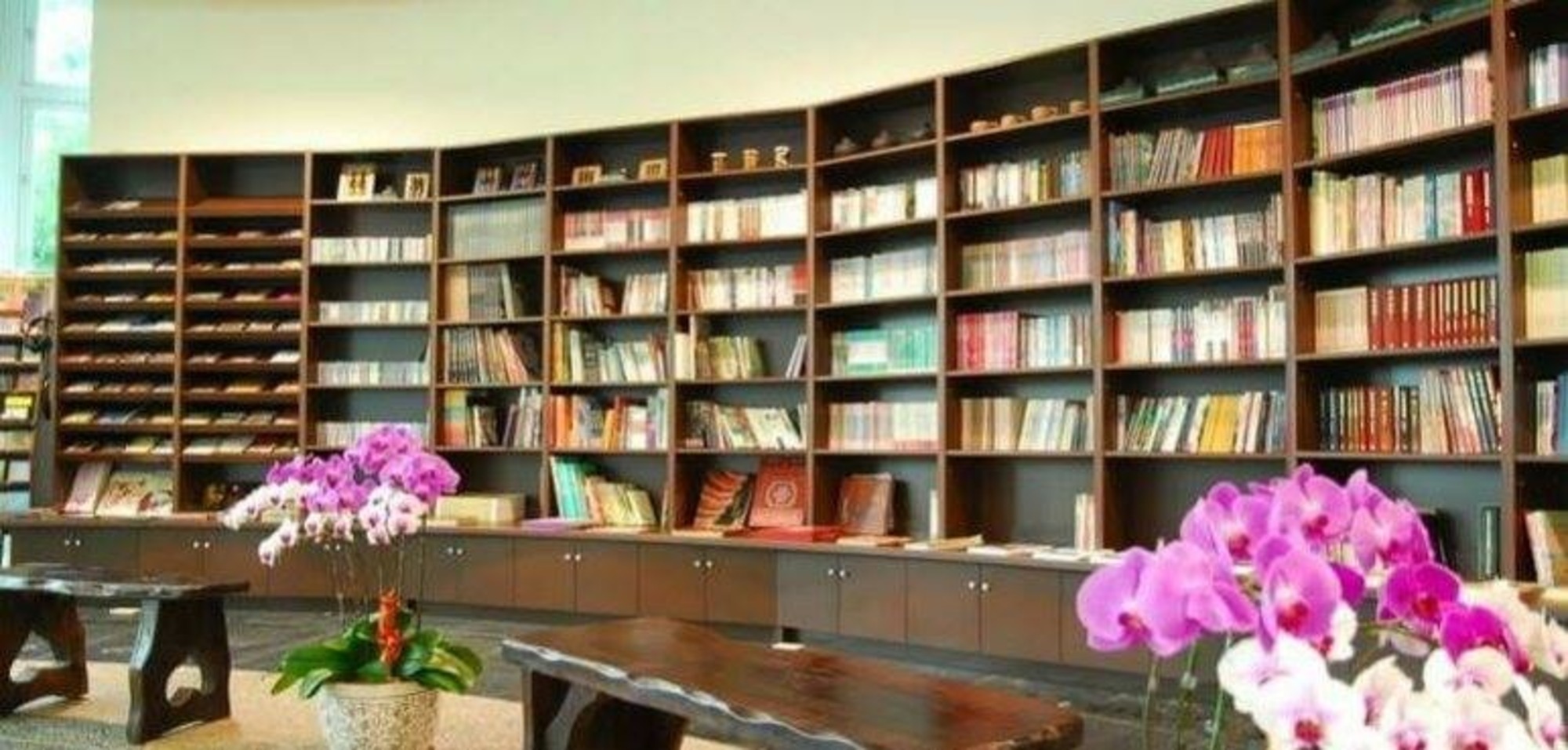 小陶壺書坊場所圖片